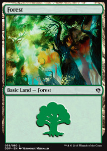 Forest (V.2)