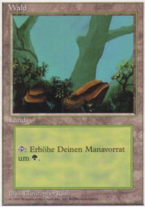 Forest (V.1)