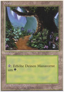 Forest (V.2)
