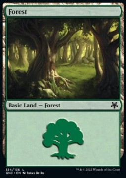 Forest (V.1)