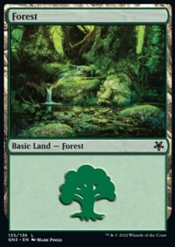Forest (V.2)