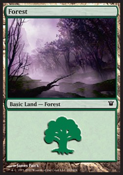 Forest (V.1)