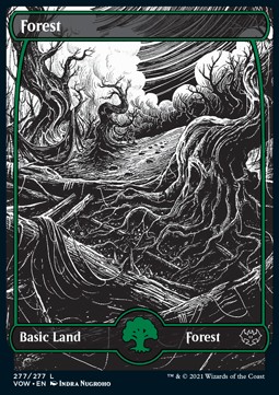 Forest (V.2)