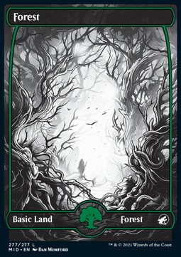 Forest (V.2)