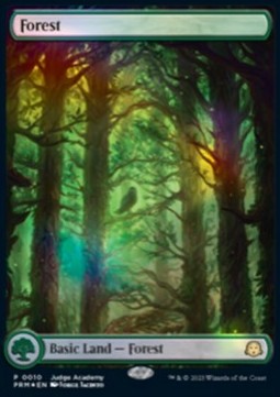 Forest (V.2)