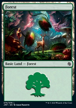 Forest (V.7)