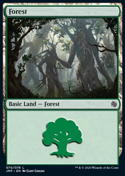 Forest (V.1)