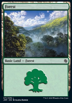 Forest (V.2)