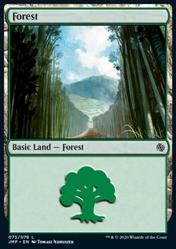 Forest (V.6)