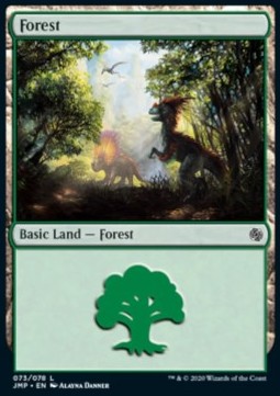 Forest (V.4)