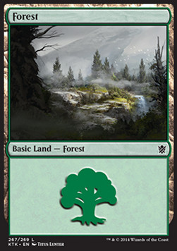 Forest (V.2)