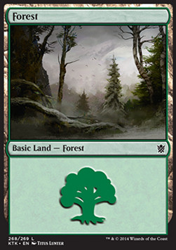 Forest (V.3)
