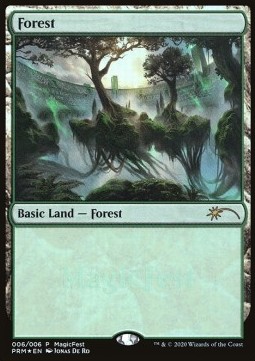Forest (V.2)