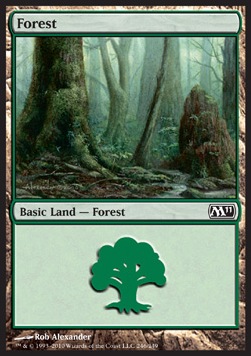Forest (V.1)