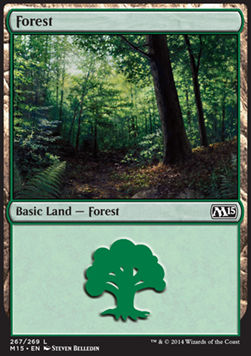 Forest (V.2)