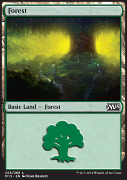 Forest (V.3)