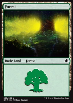 Forest (V.1)