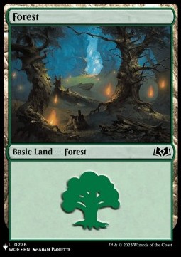 Forest (V.3)