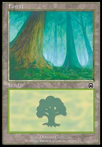 Forest (V.1)