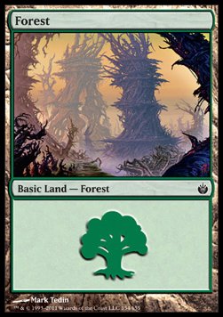 Forest (V.1)