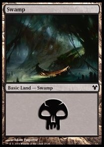 Swamp