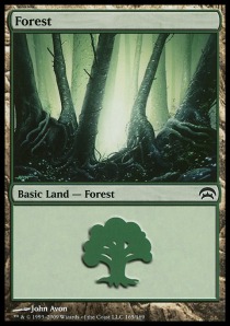 Forest (V.1)