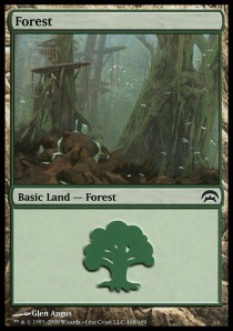 Forest (V.4)