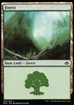 Forest (V.6)