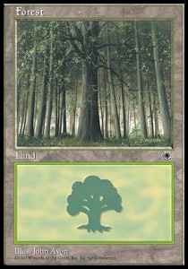 Forest (V.1)