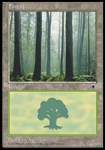 Forest (V.3)