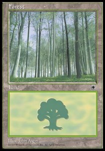 Forest (V.4)