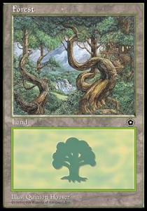 Forest (V.1)