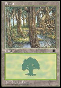 Forest (V.2)
