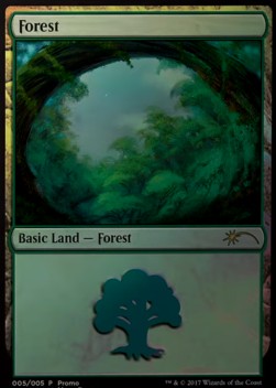 Forest (V.1)