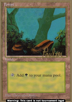 Forest (V.1)