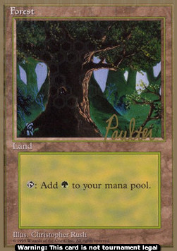 Forest (V.2)