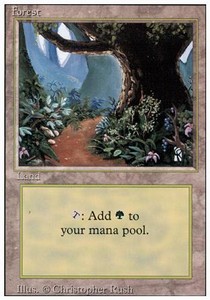 Forest (V.2)