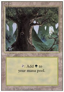 Forest (V.3)