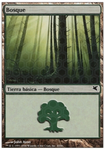 Forest (V.6)