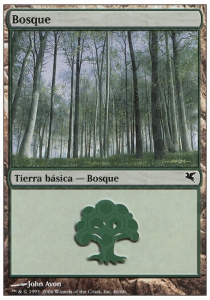 Forest (V.16)