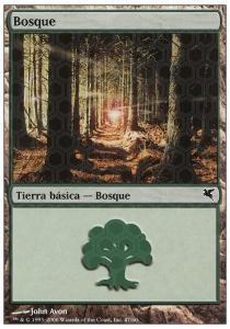 Forest (V.17)