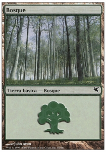 Forest (V.20)
