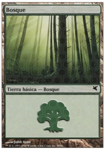 Forest (V.22)