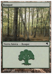 Forest (V.23)