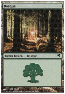 Forest (V.24)