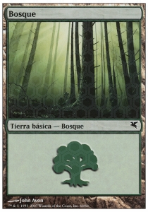 Forest (V.40)