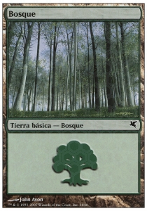 Forest (V.48)
