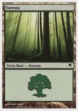 Forest (V.58)