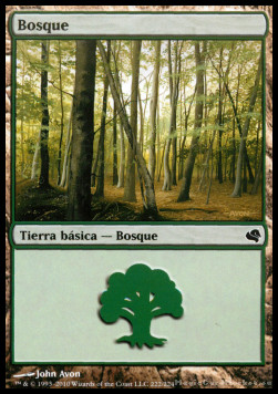 Forest (V.2)