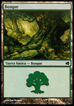 Forest (V.4)